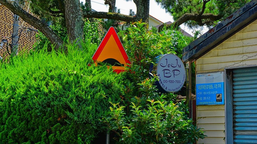 Jeju B.P. Guesthouse Zewnętrze zdjęcie